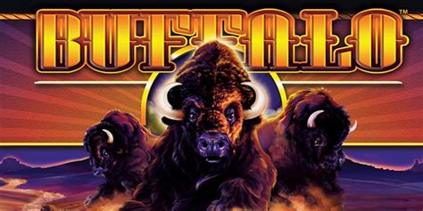  buffalo online casino game